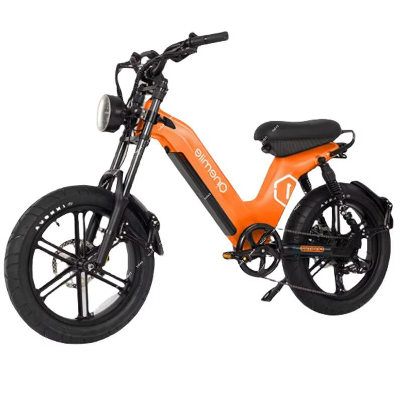 Fatbike – vélo électrique 2024