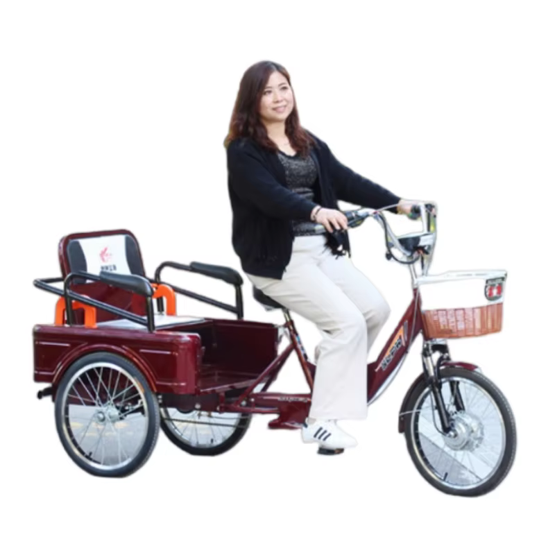 Vélo cargo électrique à trois roues pour adultes