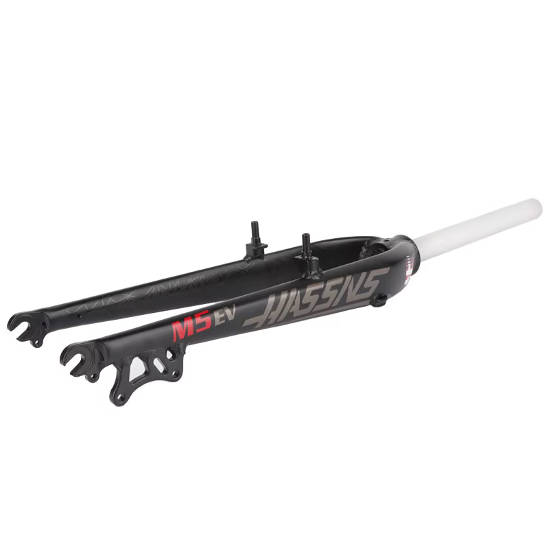HASSNS fourche de vélo rigide