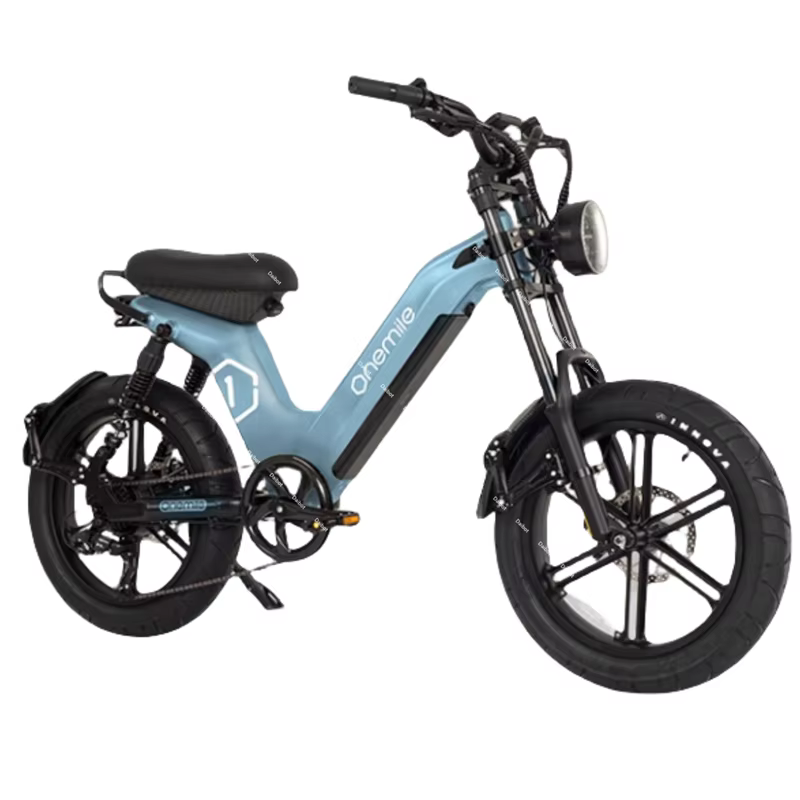 Fatbike – vélo électrique 2024