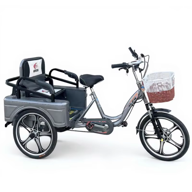 Tricycle électrique longue portée pour femme avec passagers