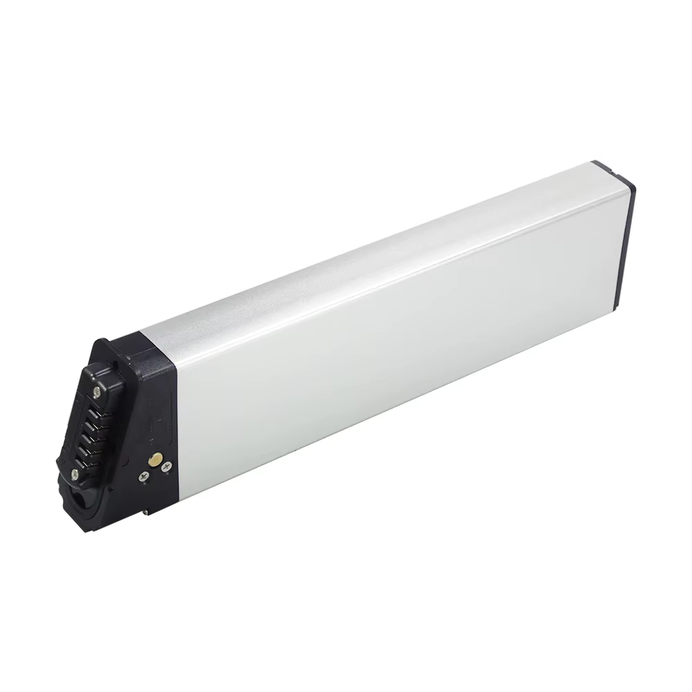 Lectric XP Lite 2.0 batterie Ebike 48V 14Ah 672Wh