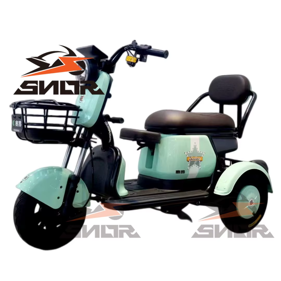 Chine Tricycle électrique adulte à 3 roues avec siège enfant et barre de poignée Certificat CEE Tricycles électriques E-Trrikes moins chers