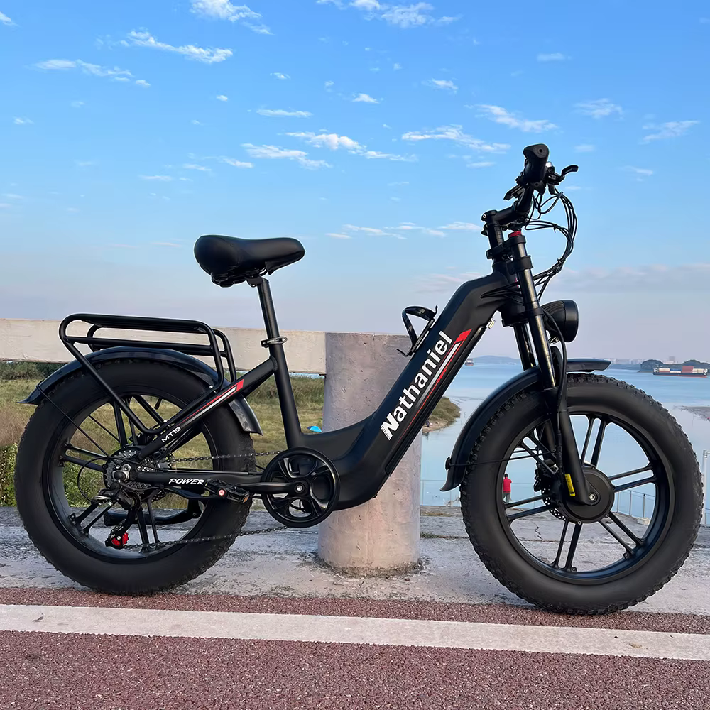Vélo électrique adulte Nathaniel SYR08