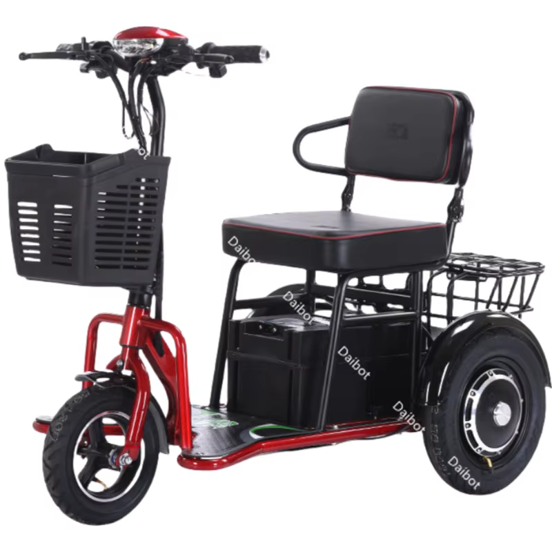 Tricycle électrique à double moteur