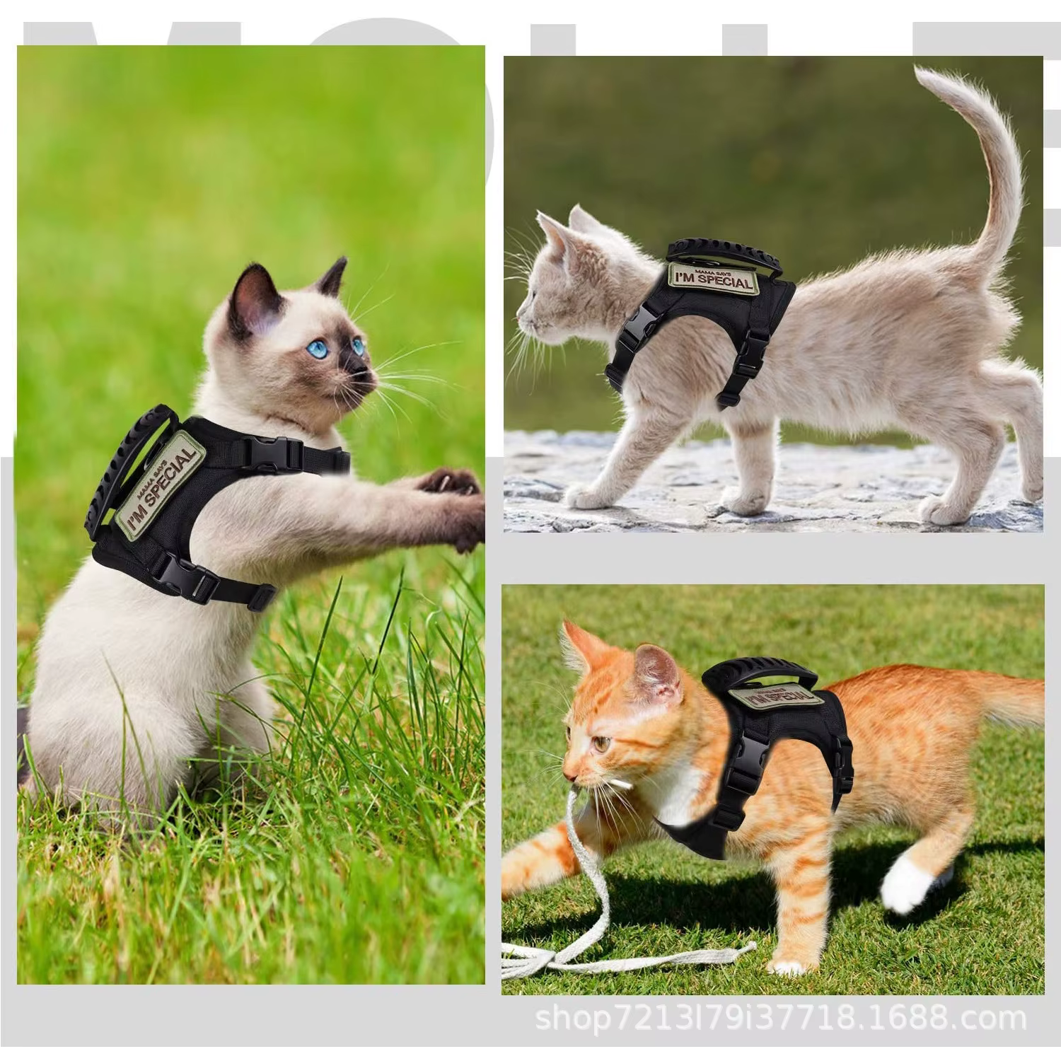 Gilet militaire tactique pour animaux de compagnie, accessoires d'entraînement tactique pour chat, ensemble harnais et laisse pour chien et chat, accessoires pour chaton