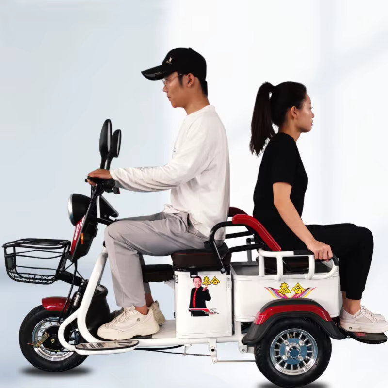 Tricycle électrique Cargo puissant pour adulte