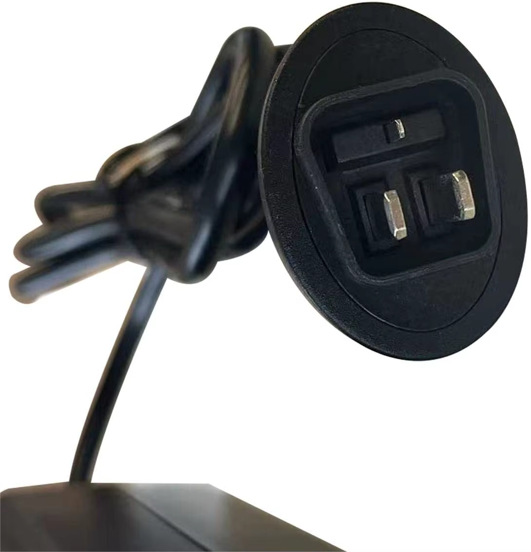 Chargeur de PHYLION Ebike du pipeline 42v pour le T-TRONIK 36v Stella