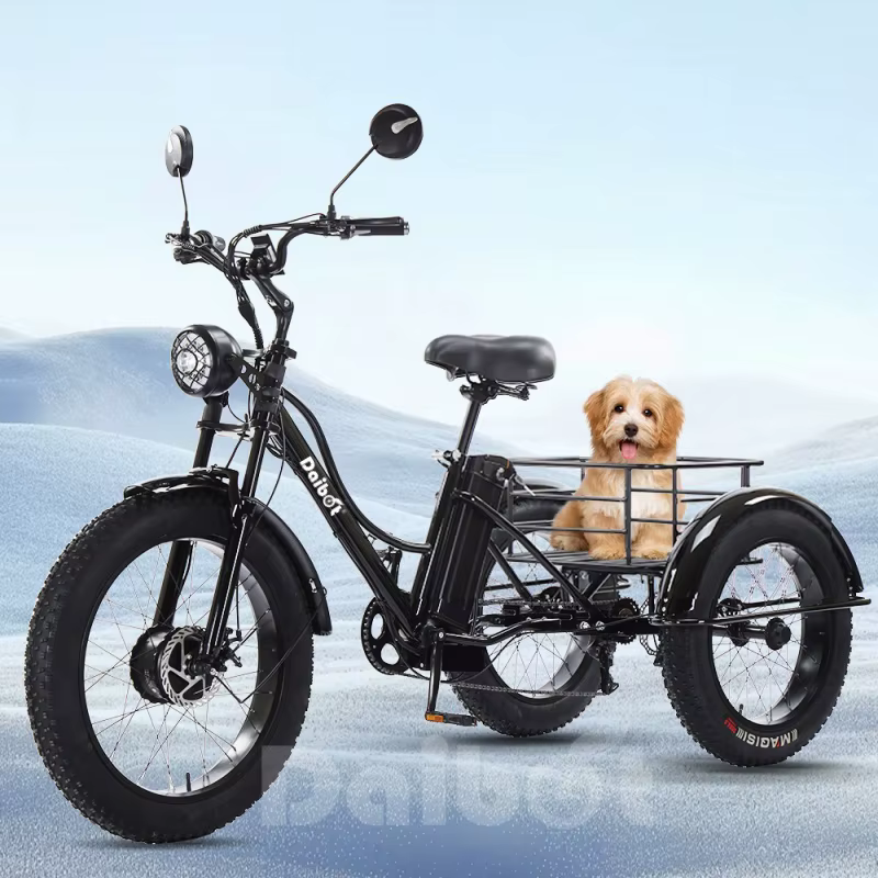 Tricycle électrique pour adultes