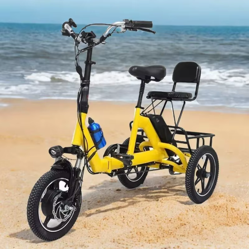 Petit Tricycle électrique pliant à 3 roues pour femmes