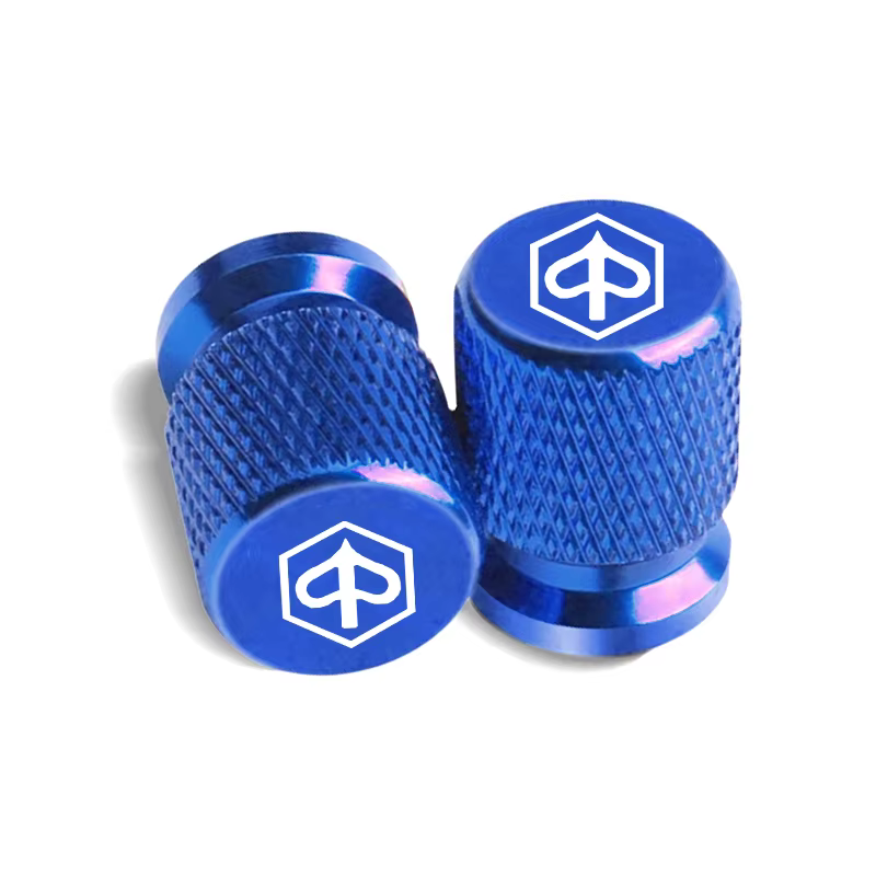 Couvercle de tige de Valve de pneu