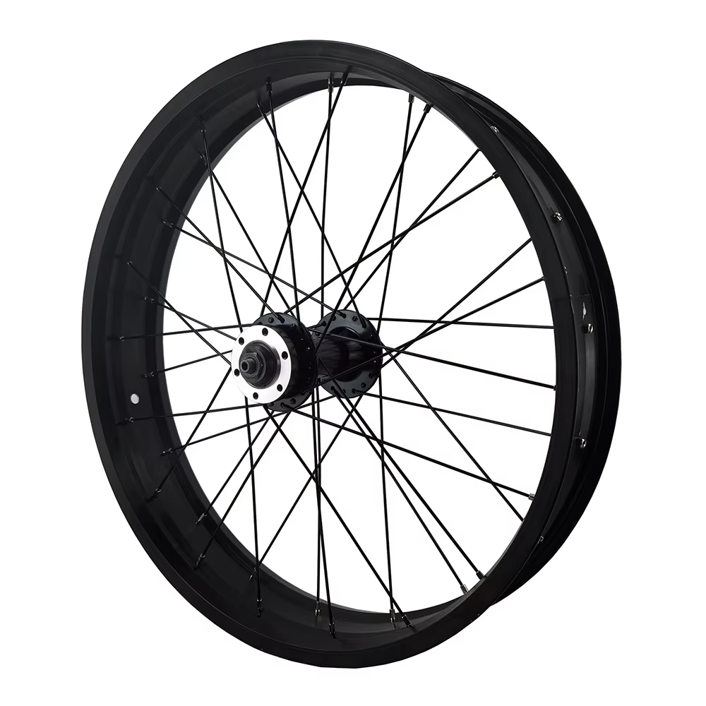 Roue avant de vélo Fat Bike 20x4.0 avec moyeu à double roulement