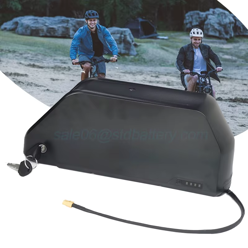 Polly-Batterie 21700 pour Vélo Électrique Bafang/Tyilamart