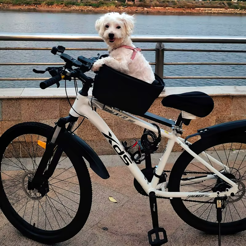 Siège pour animaux de compagnie pour chiens
