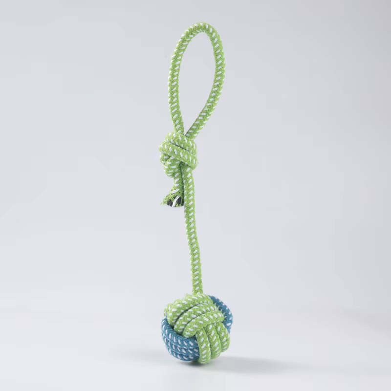 Jouets pour chiens de grande et petite taille, jouet interactif en corde de coton, mini jouet pour chien, balle pour chien, accessoires pour chien, brosse à dents, jouet à mâcher pour chiot