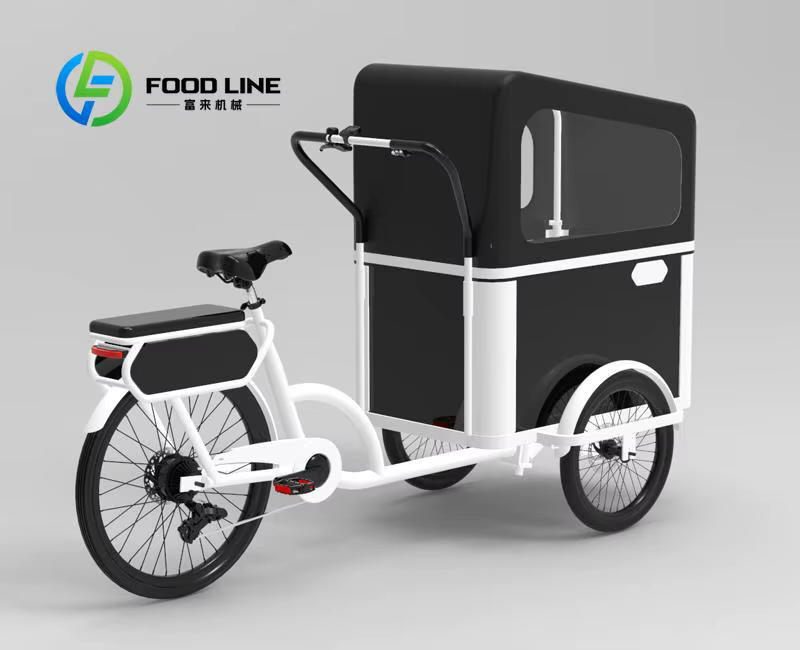 Vélo cargo à pédale électrique à 3 roues avec moteur arrière pour transporter des vélos électriques pour animaux de compagnie