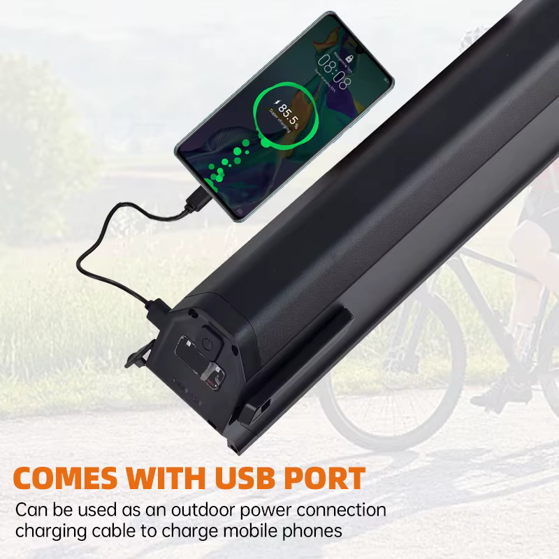 Dorado-Batterie pour vélo électrique