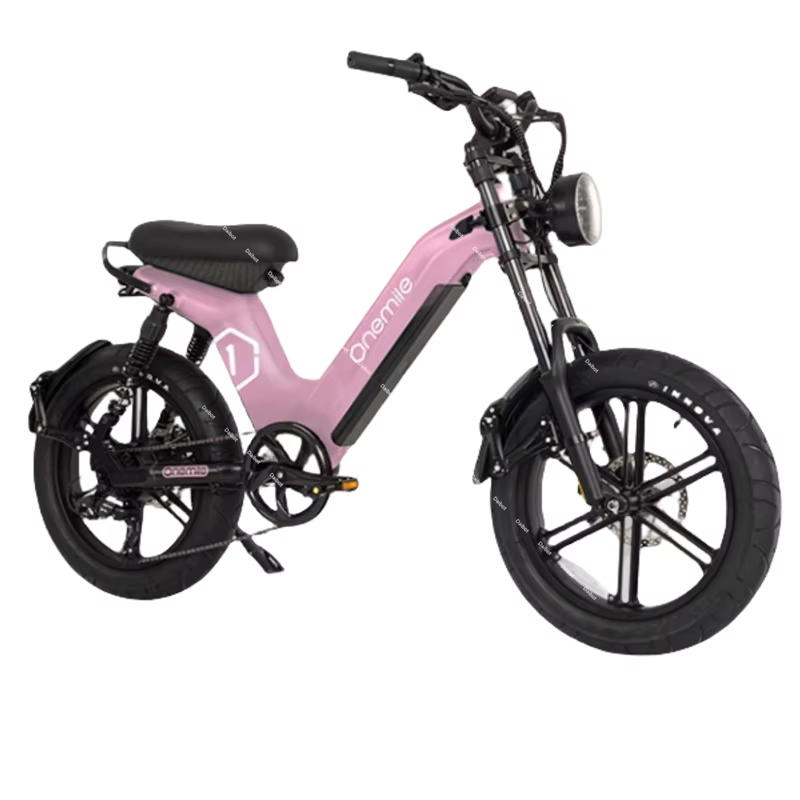 Fatbike – vélo électrique 2024