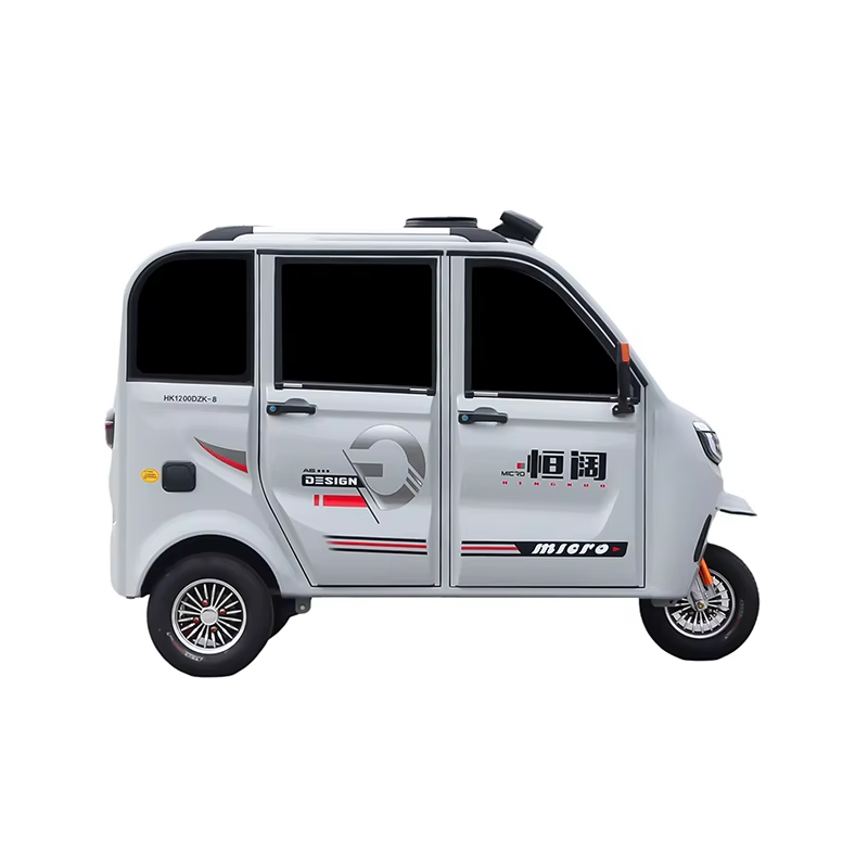 Nouveau tricycle électrique adulte à vendre