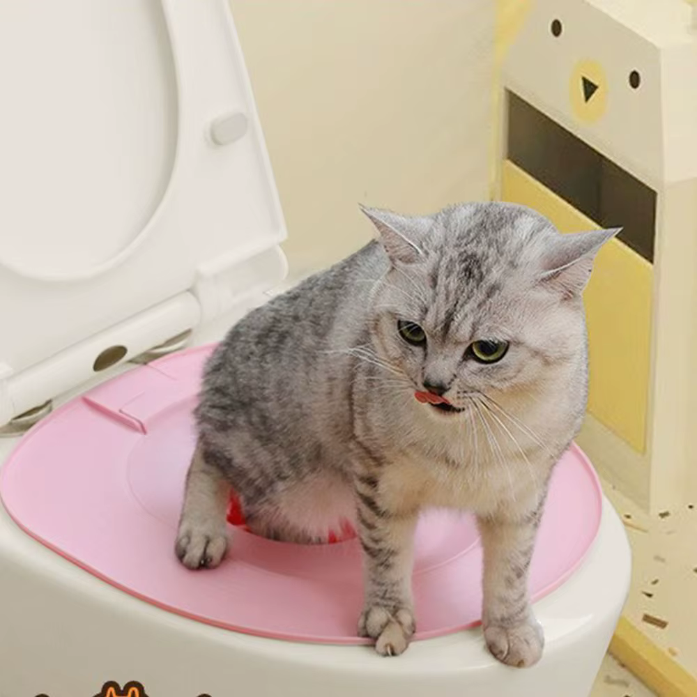 Système d'entraînement aux toilettes pour chats, Kit d'entraînement aux toilettes pour chats, enseigner à utiliser, siège de toilette réutilisable, Kit d'entraînement, outil de siège d'entraînement