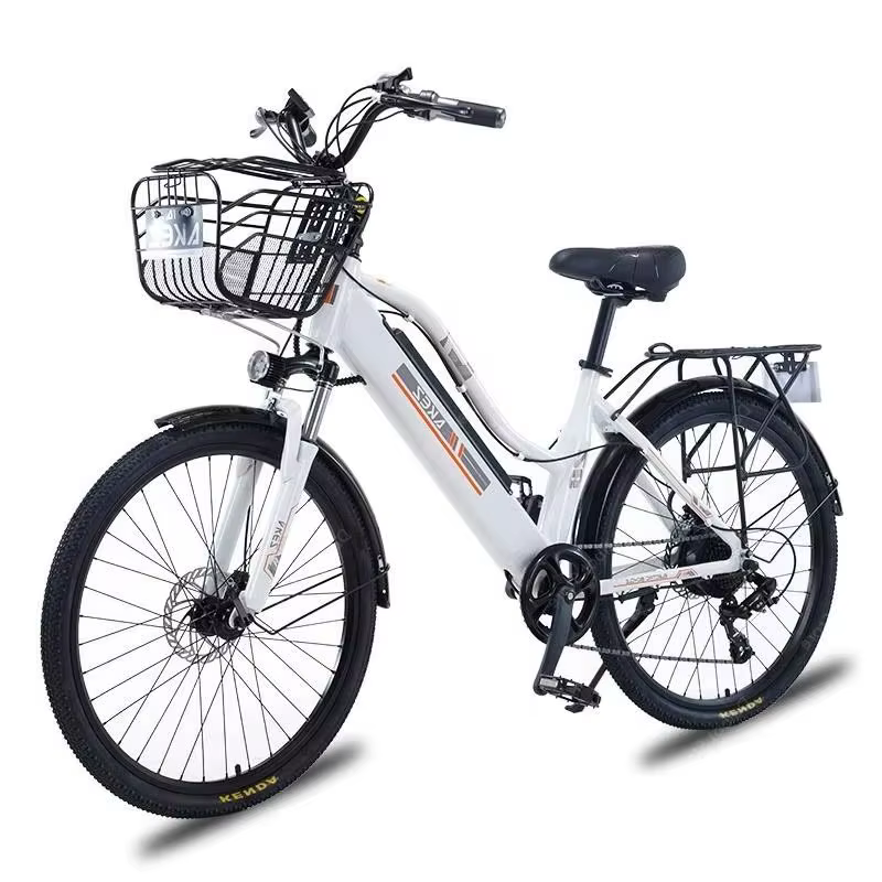 Vélo électrique adulte 2 places 26 pouces 350W 36V