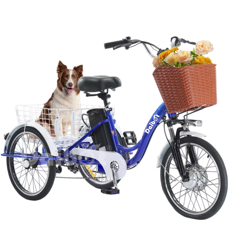 Tricycle électrique adulte à 3 roues