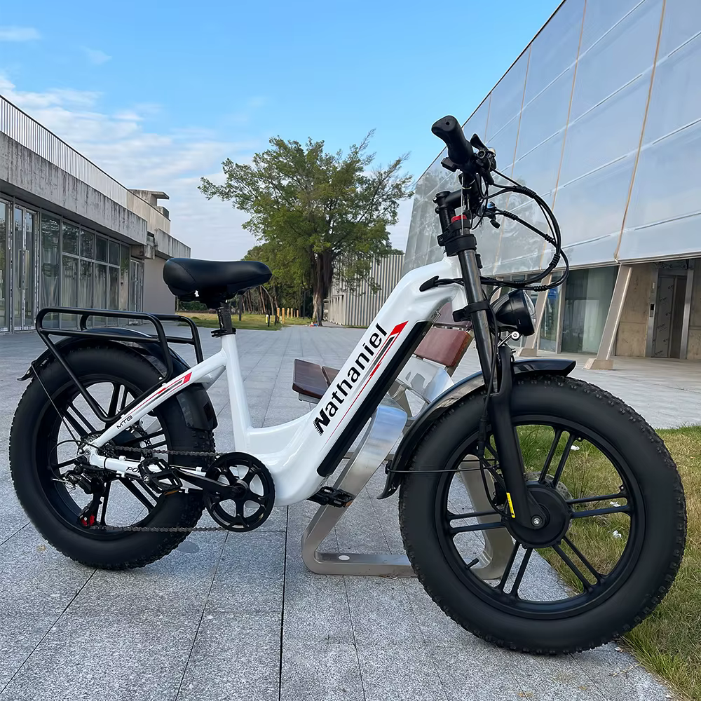 Vélo électrique Nathaniel SYR08 2000W à double moteur