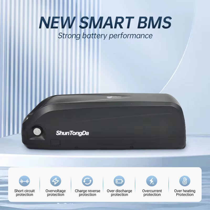 Batterie lithium-ion 48V