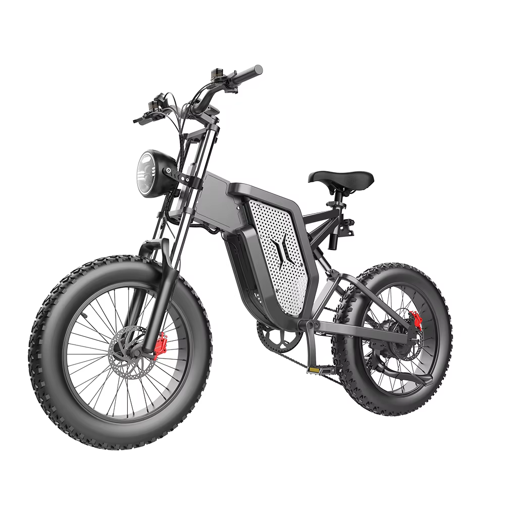Vélo Électrique X20, Vitesse Maximale Kmh