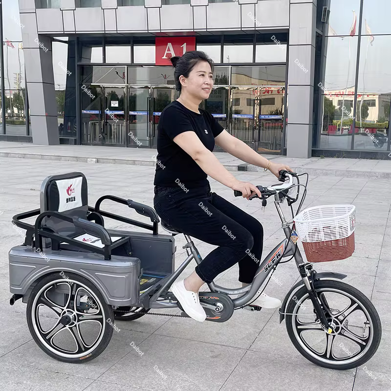 350W 48V nouveau Tricycle électrique à 3 roues vélo Cargo avec passagers pour personnes âgées famille Booster