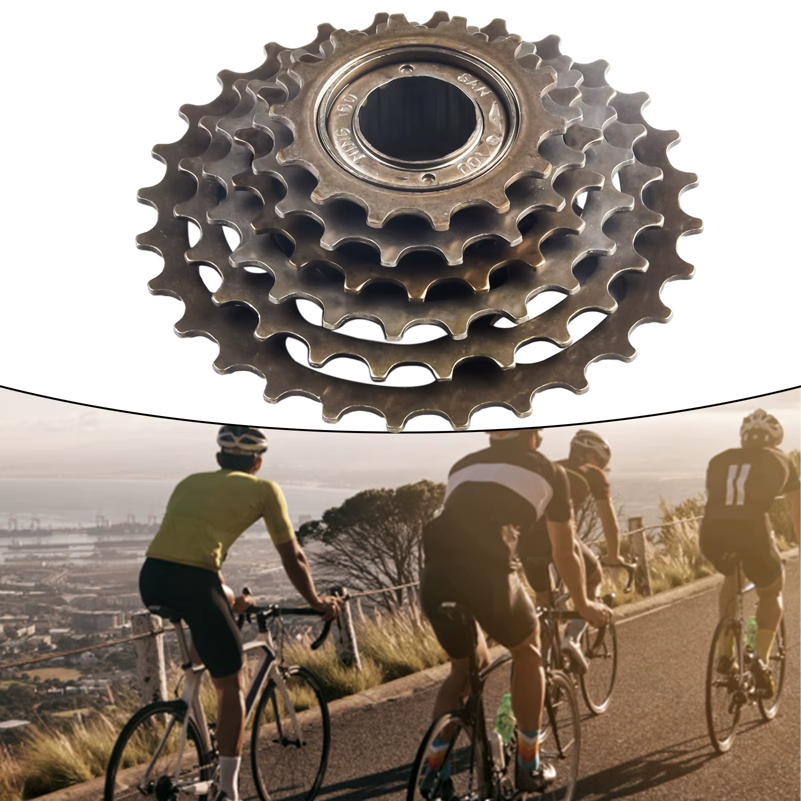 Vis de vélo sur roue libre