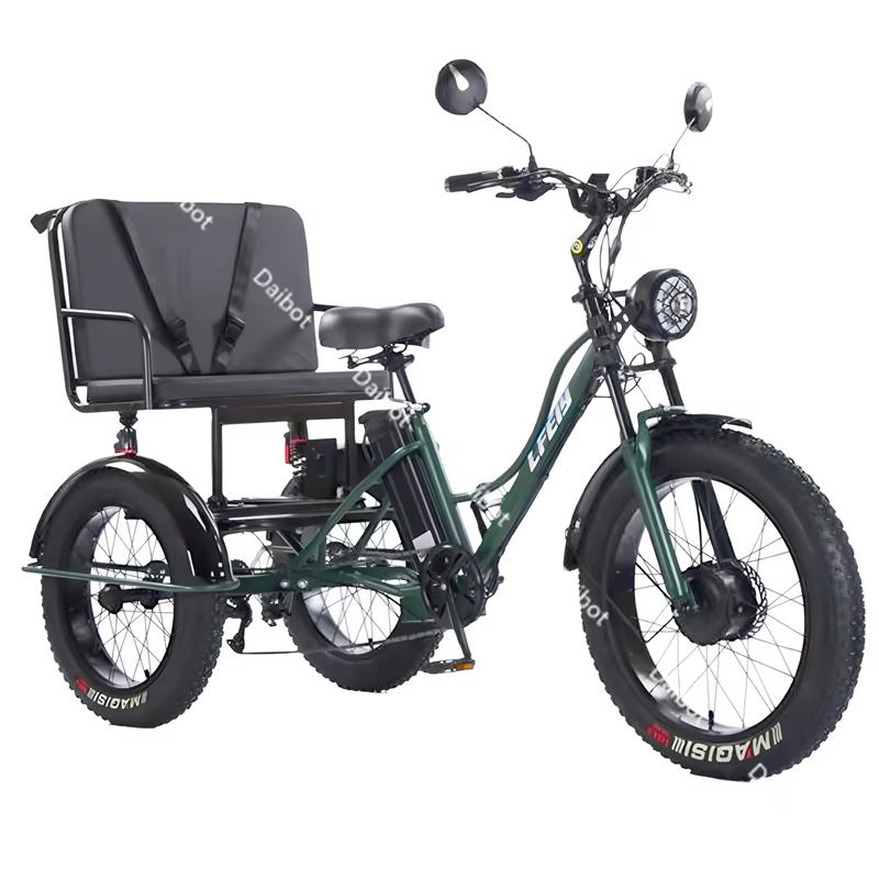 Vélo électrique Cargo à 3 roues 750w avec siège passager pour personnes âgées nouveau