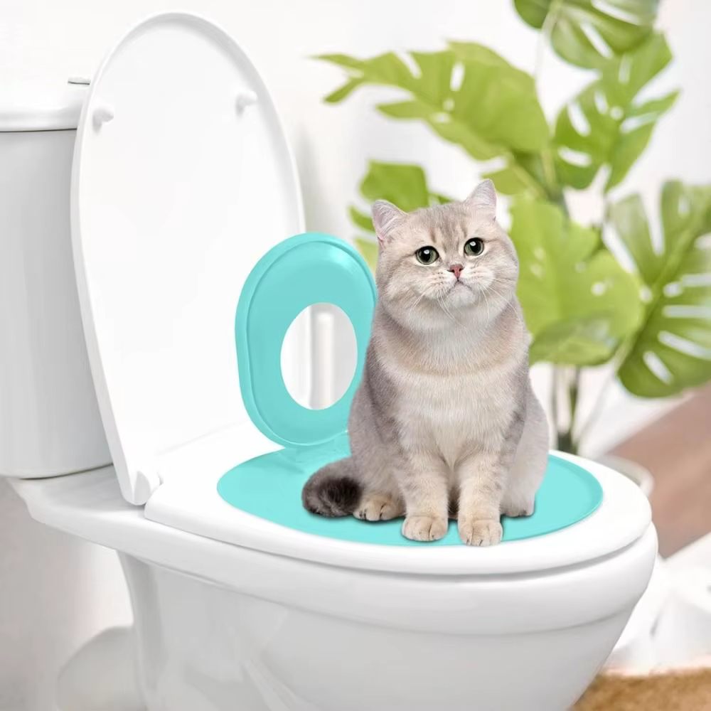 Système d'entraînement aux toilettes pour chats, Kit d'entraînement aux toilettes pour chats, enseigner à utiliser, siège de toilette réutilisable, Kit d'entraînement, outil de siège d'entraînement