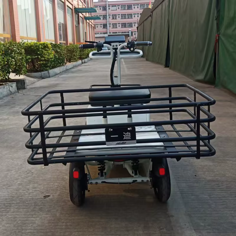 Tricycles électriques de cargaison à grande vitesse de roue de vélo de chargement électrique de mobilité 48V 1000W 4 roues