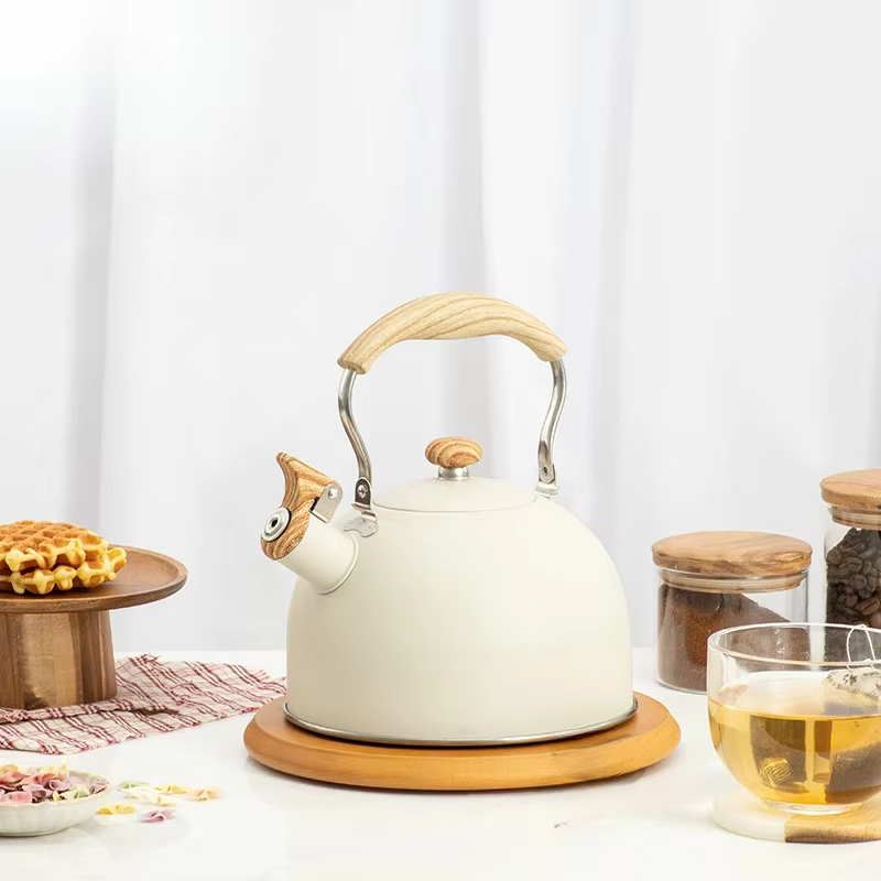 Bouilloire à sifflet en acier inoxydable, pour eau bouillante, théière de Camping, poignée pliante, théières pour faire bouillir l'eau, cuisinière à gaz