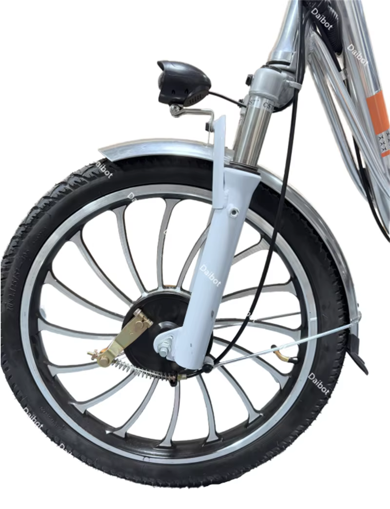 Vélos électriques pour adultes