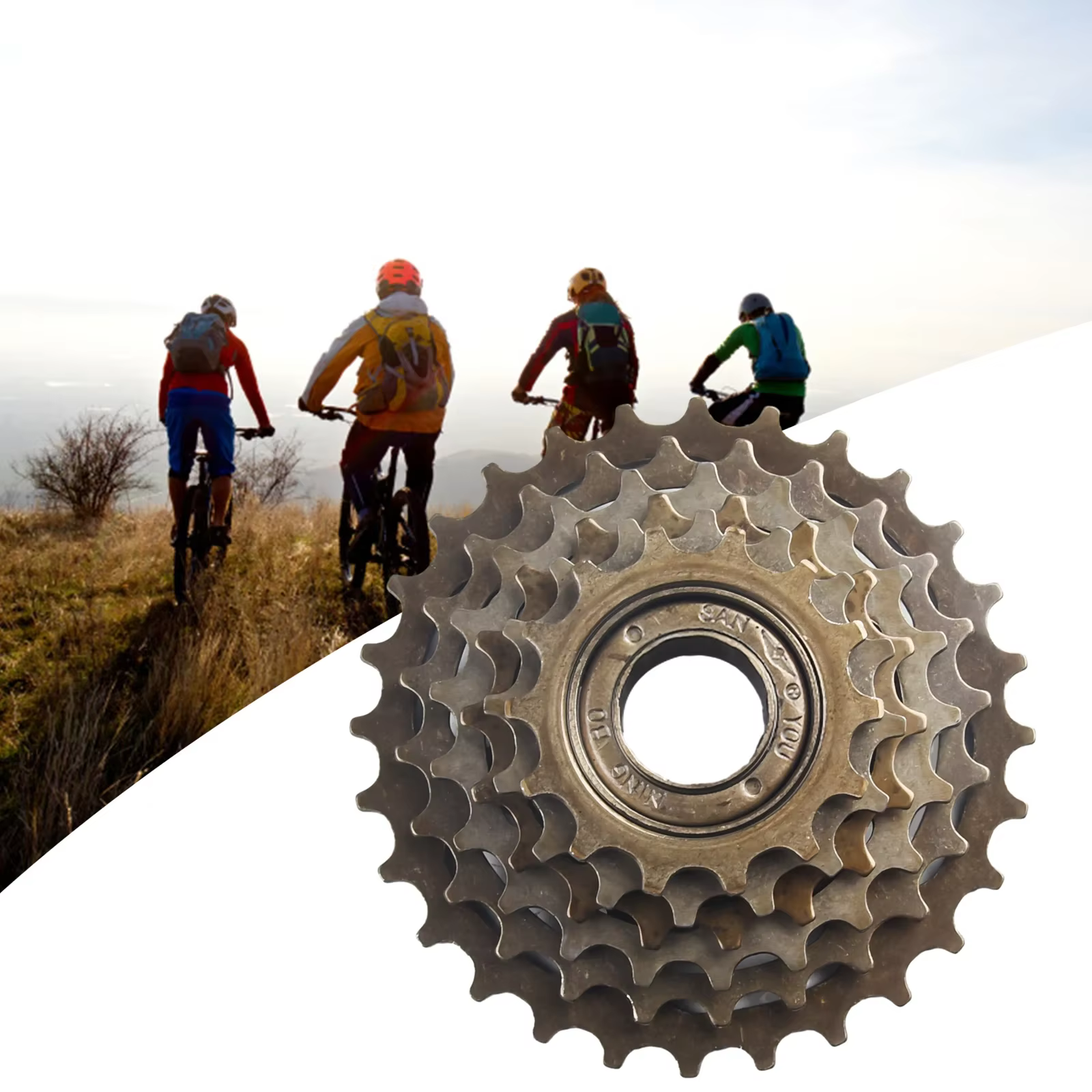 Vis sur roue libre pour vélo