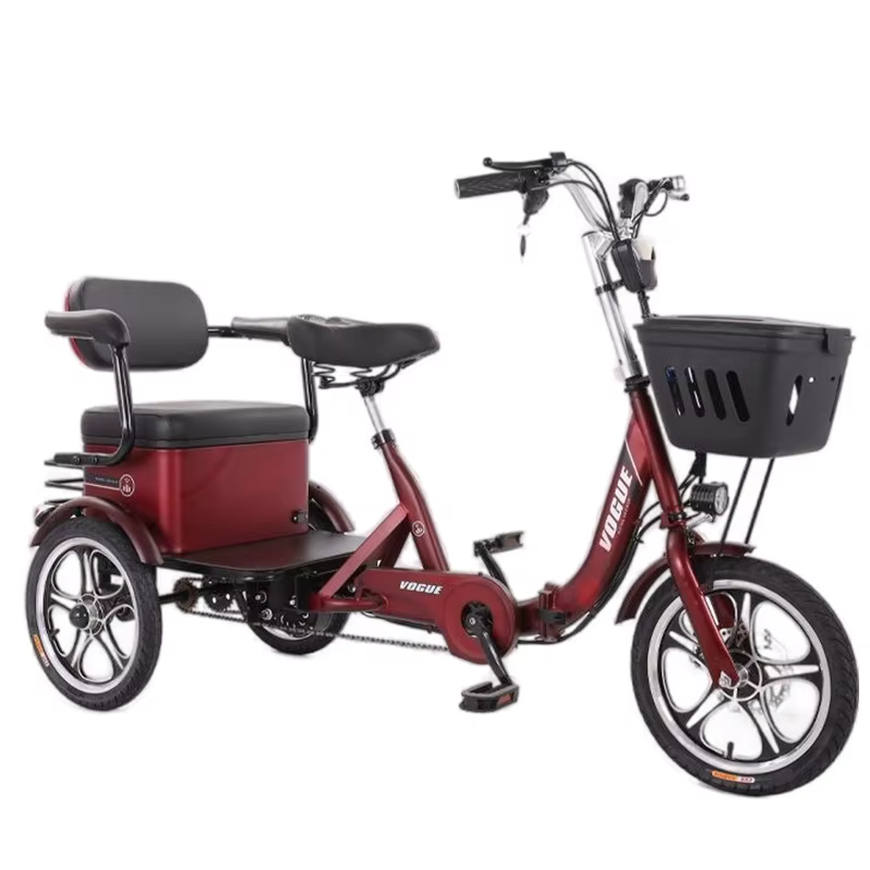 Tricycle Électrique Pliant à 3 Roues pour Deux Adultes