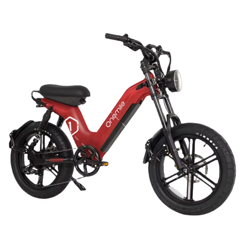 Fatbike – vélo électrique 2024