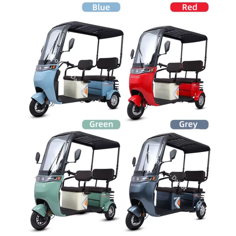 Tricycle électrique à 3 roues pour adulte