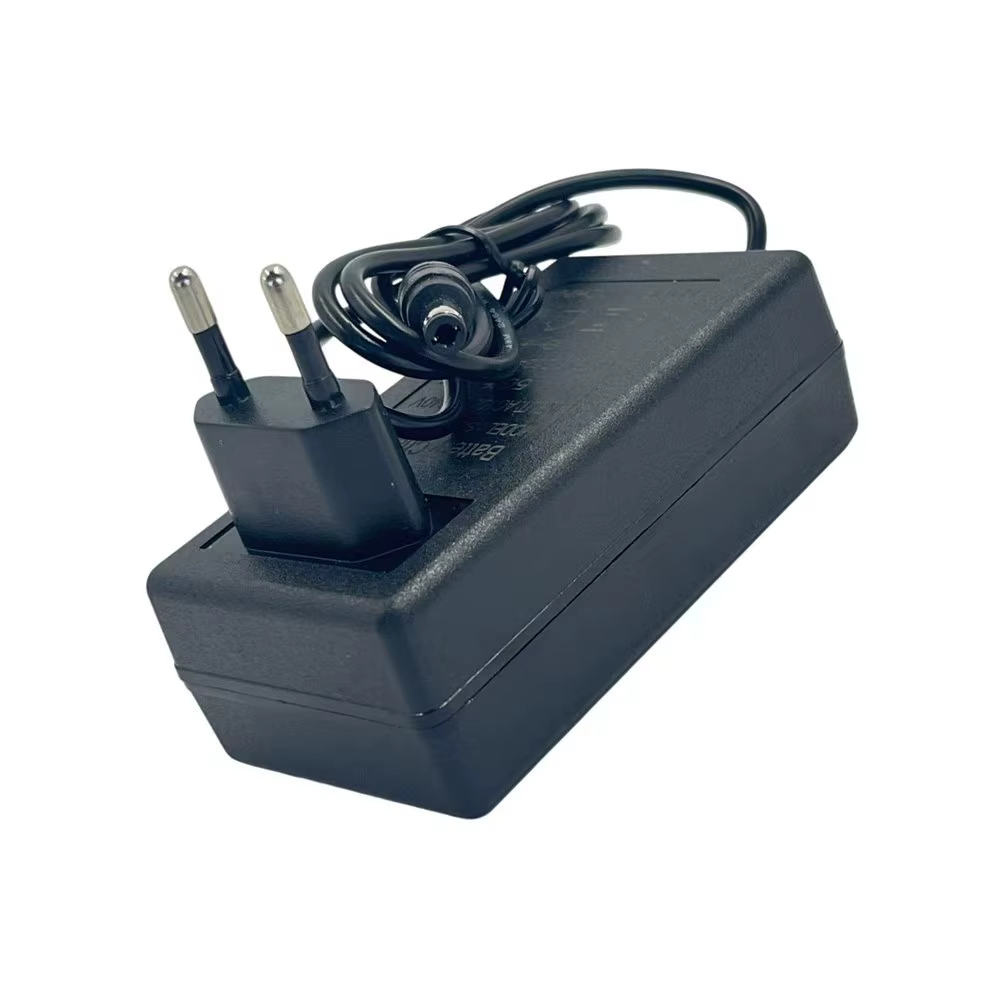 Chargeur de Scooter électrique 24.2V 1