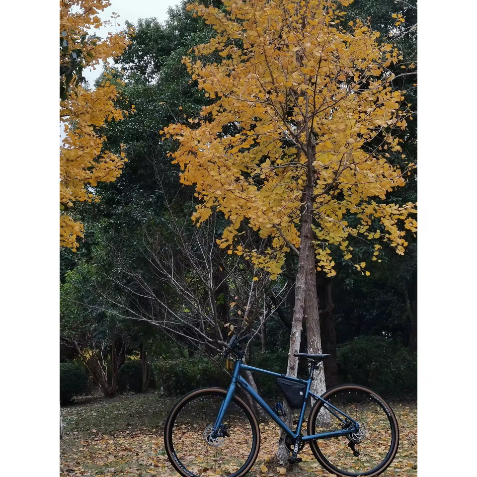 Cadre de vélo 700c рама onderdelen Б
