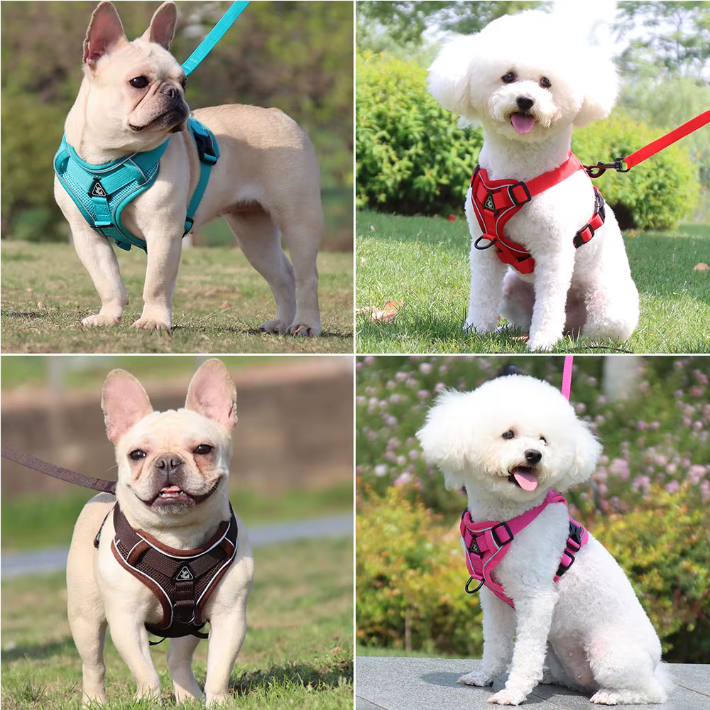 Ensemble harnais et laisse, accessoires pour animaux de compagnie, harnais pour petit chien, bouledogue français, carlin, Pitbull, chiot, collier pectoral, fournitures pour Chiens