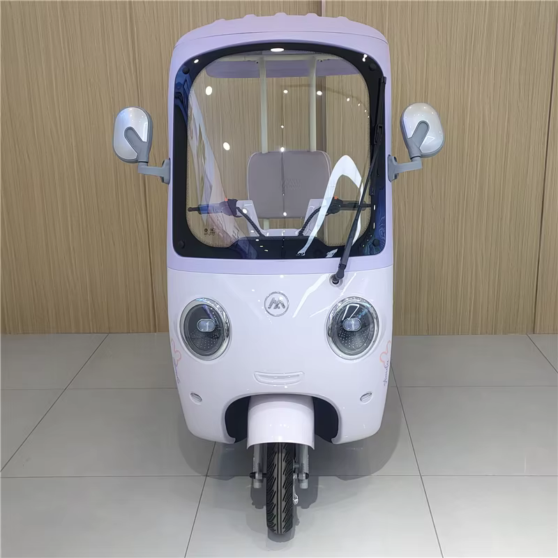 Tricycle électrique de loisirs à 3 roues 60V