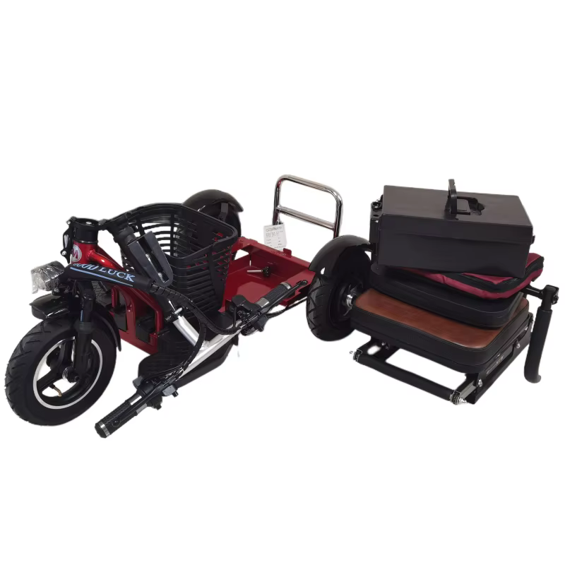 Famille Parents enfant Scooter électrique 2 sièges 3 roues personnes âgées 700W Anti rouleau nouveau Tricycle
