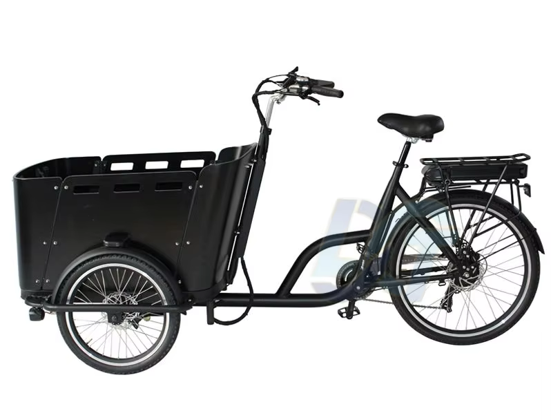 Vélo cargo électrique à 3 roues de 250 watts