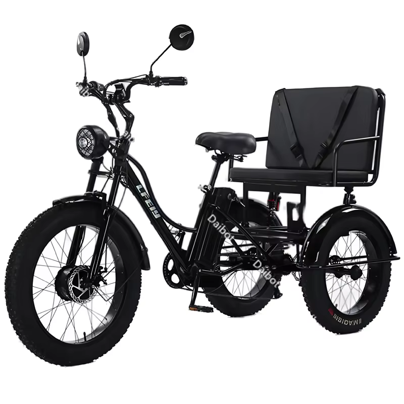 Tricycle électrique puissant à 3 roues et pneus larges pour adultes, deux places, 750W, pour la montagne, la neige, la famille, vélo électrique, trike, pour homme