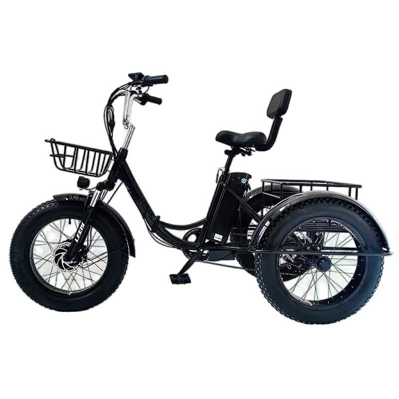 Vélo Électrique Pliant à 3 Roues pour Homme Adulte