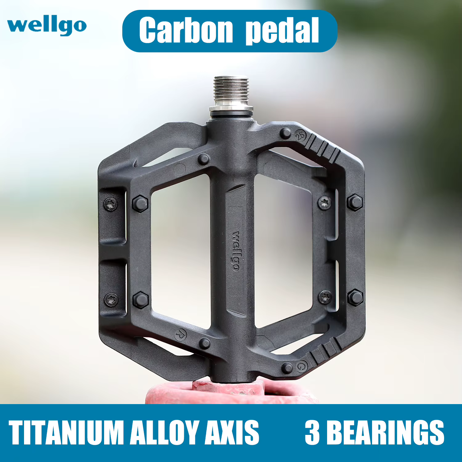 WELLGO pédale en carbone