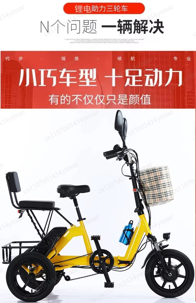 Tricycle électrique pliable pour adultes 48V au lithium